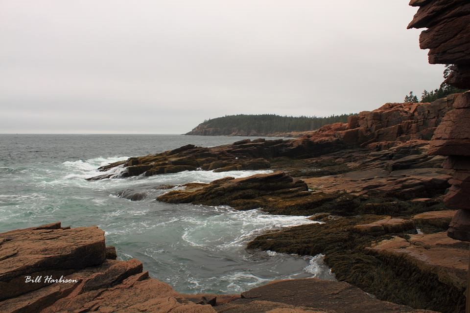 Acadia Coast 1
